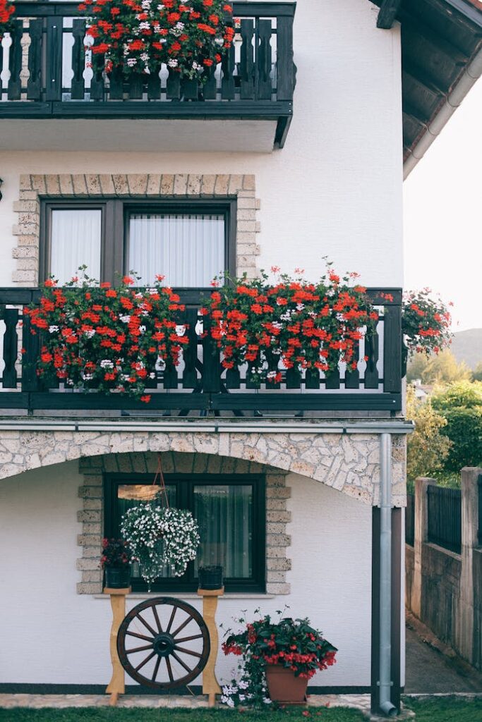 Exterior of modern white apartment building with small balconies decorated with lush red flowers on peaceful sunny day