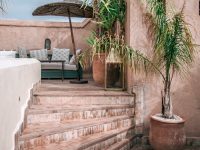 Exotic plants on stairs on street