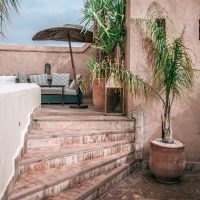 Exotic plants on stairs on street