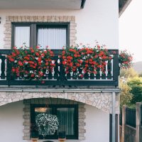 Exterior of modern white apartment building with small balconies decorated with lush red flowers on peaceful sunny day